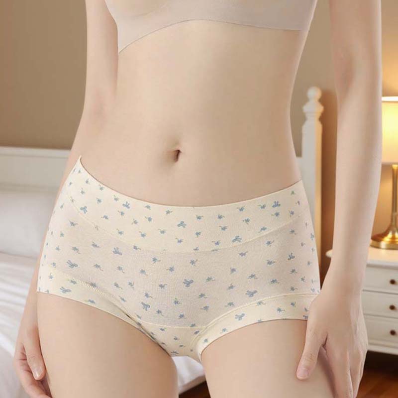 Women’s Soft Comfort High-Waist Panties