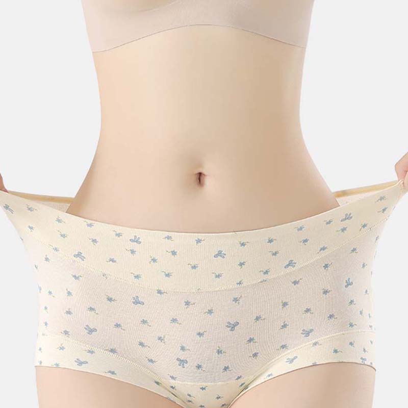 Women’s Soft Comfort High-Waist Panties
