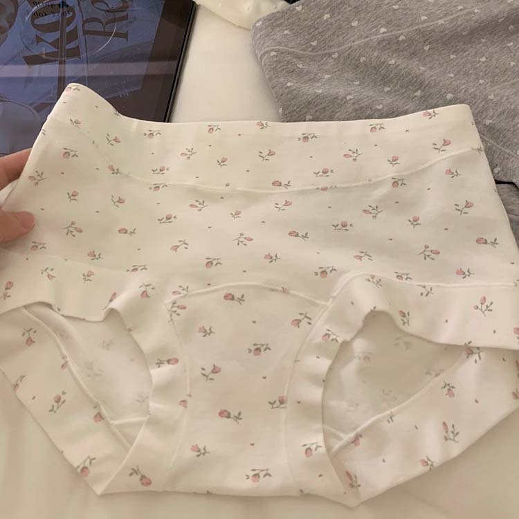 Women’s Soft Comfort High-Waist Panties