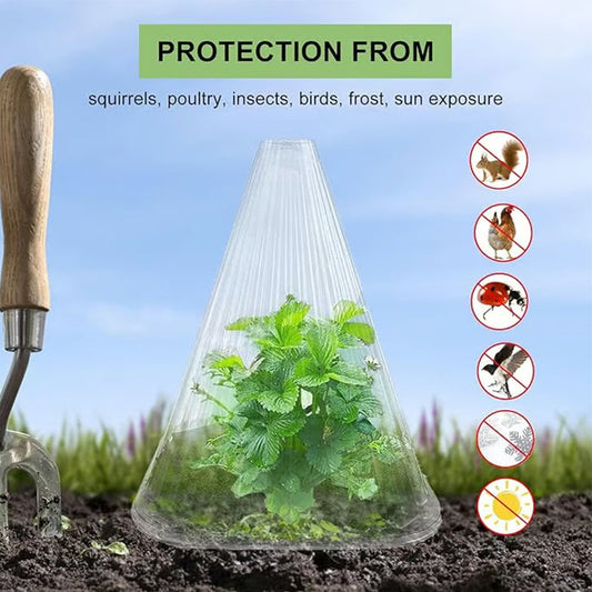 🔥 Achetez 20, recevez 20 gratuits 🔥 Housses de protection pour jeunes plants — matière PET épaissie — Protège les plantes contre les oiseaux et le gel