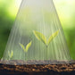 🔥 Achetez 20, recevez 20 gratuits 🔥 Housses de protection pour jeunes plants — matière PET épaissie — Protège les plantes contre les oiseaux et le gel