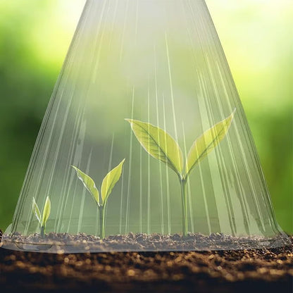 🔥 Achetez 20, recevez 20 gratuits 🔥 Housses de protection pour jeunes plants — matière PET épaissie — Protège les plantes contre les oiseaux et le gel