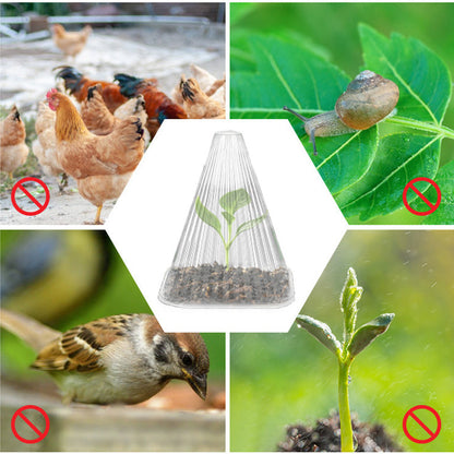 🔥 Achetez 20, recevez 20 gratuits 🔥 Housses de protection pour jeunes plants — matière PET épaissie — Protège les plantes contre les oiseaux et le gel