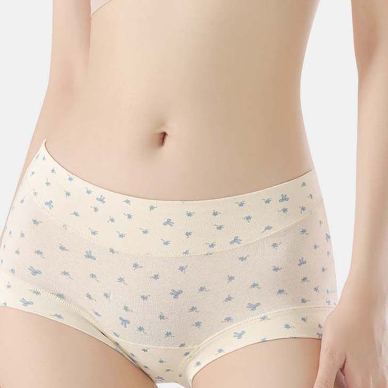 Women’s Soft Comfort High-Waist Panties