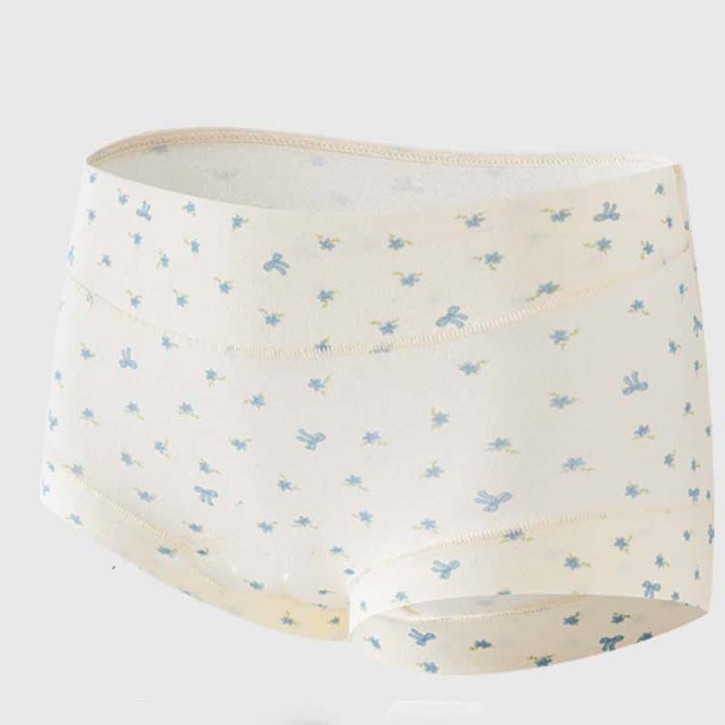Women’s Soft Comfort High-Waist Panties