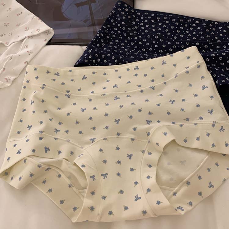 Women’s Soft Comfort High-Waist Panties