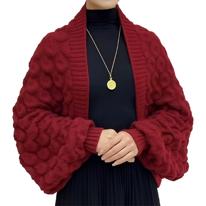 Women's Warm Shawls and Wraps with Sleeves