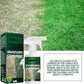 🔥Dernier jour de soldes : 50 % de réduction🔥Peinture en spray « Green Grass »🌿✅